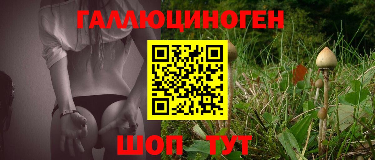 Псилоцибиновые грибы MAGIC MUSHROOMS  Вход с VPN  Ликино-Дулёво  Псилоцибиновые грибы Magic Shrooms 